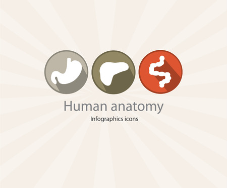 Human digestive systems icons. EPS 10 file.のイラスト素材