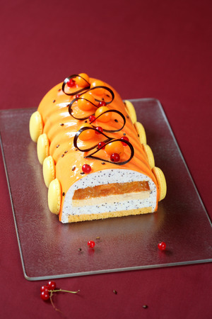 Contemporary Yule Log (layered) Cake covered with orange glaze and decorated with french macarons and chocolate loops, on burgundy background.の写真素材