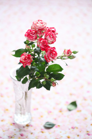 Bunch of pink roses in glass transparent vase, on light pink floral background.の写真素材