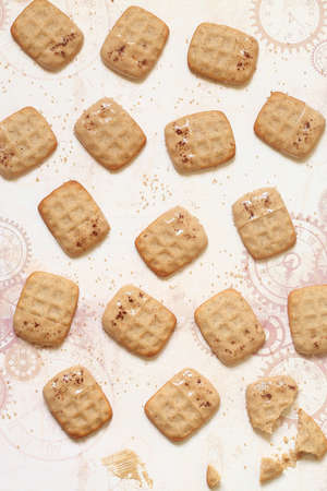 Cinnamon Wafer Cookies dipped in caramelized chocolate, on light background.