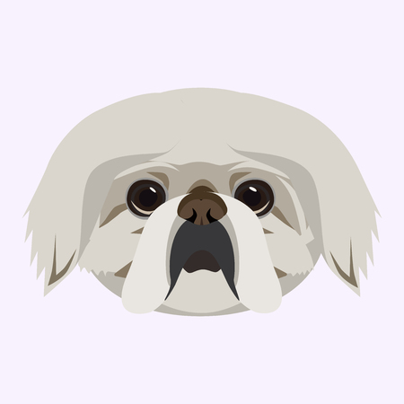 Pekingese dog vector illustrated portrait . Cute face on a gray background.のイラスト素材