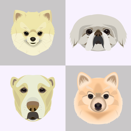 Flat style dog head icons. Cartoon dogs faces set.のイラスト素材