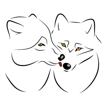 Wolves linear vector illustration on white background. Wolf licks a she-wolfのイラスト素材