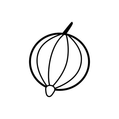 Gooseberry line icon on a white backgroundのイラスト素材