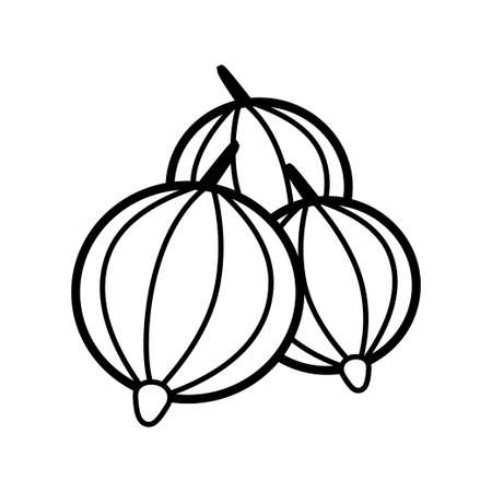 Gooseberries line icon on a white backgroundのイラスト素材