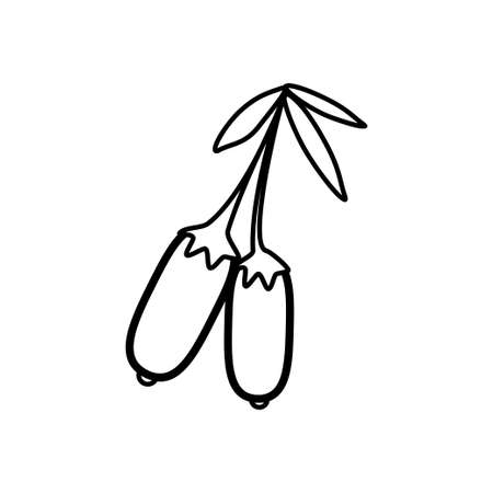 Dogwood berries line icon on a white backgroundのイラスト素材