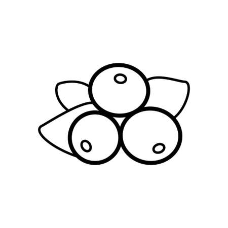 Currant line icon isolated on a white backgroundのイラスト素材