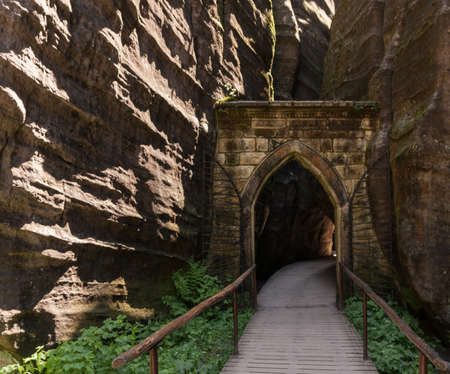 landscape, waterscape, nature, animals, plants, mountains, clouds, sun and fog, moon, and architecture in betweenの写真素材