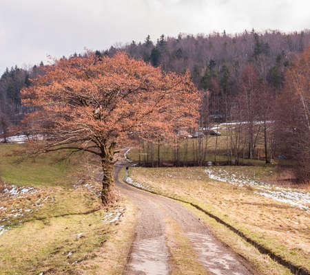 landscape, waterscape, nature, animals, plants, mountains, clouds, sun and fog, moon, and architecture in betweenの写真素材
