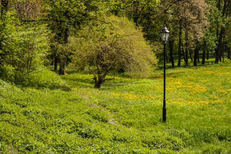 landscape, waterscape, nature, animals, plants, mountains, clouds, sun and fog, moon, and architecture in betweenの写真素材