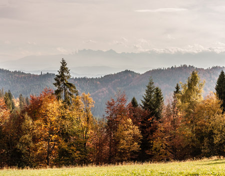 landscape, waterscape, nature, animals, plants, mountains, clouds, sun and fog, moon, and architecture in betweenの写真素材