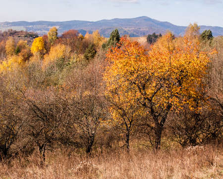 landscape, waterscape, nature, animals, plants, mountains, clouds, sun and fog, moon, and architecture in betweenの写真素材