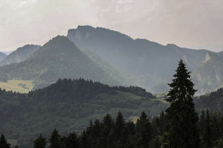 landscape, waterscape, nature, animals, plants, mountains, clouds, sun and fog, moon, and architecture in betweenの写真素材