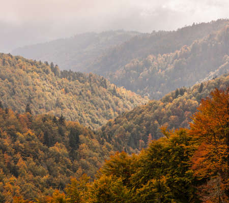 landscape, waterscape, nature, animals, plants, mountains, clouds, sun and fog, moon, and architecture in betweenの写真素材