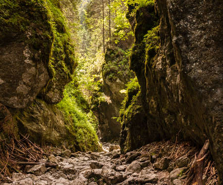 landscape, waterscape, nature, animals, plants, mountains, clouds, sun and fog, moon, and architecture in betweenの写真素材