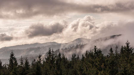 landscape, waterscape, nature, animals, plants, mountains, clouds, sun and fog, moon, and architecture in betweenの写真素材