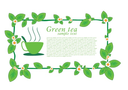 Background for design - green tea のイラスト素材