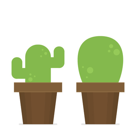 Flat vector cactus in pot setのイラスト素材