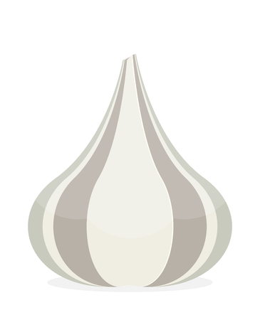 Garlic flat design vector icon.のイラスト素材