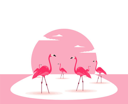 Flat illustration vector flamingo birdのイラスト素材