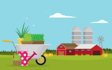 Farm flat Landscape. Natural background, organic farm products.