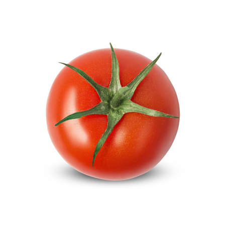 Isolated vegetable tomato. One tomato isolated on white background.の写真素材