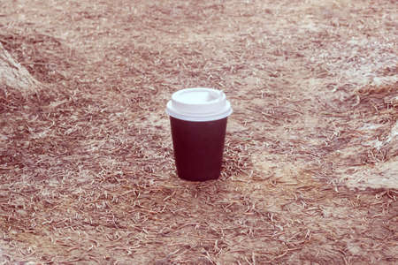 black paper glasses with tea on the coniferous needles. Vacation summer conceptの写真素材