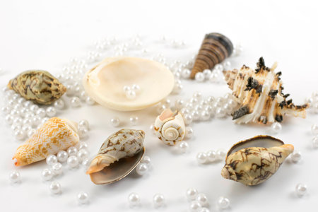 pearl beads and seashells on white background