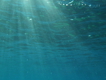 Underwater Sunraysのeditorial素材