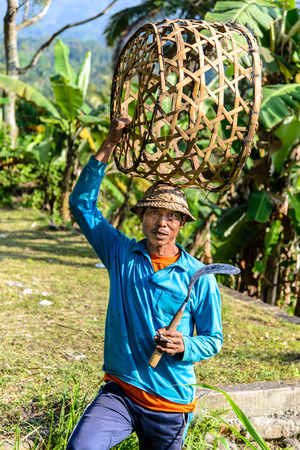 JATILUWIH, INDONESIA - SEPTEMBER 05, 2014: Indonesian farmer harvesting rice fieldsのeditorial素材