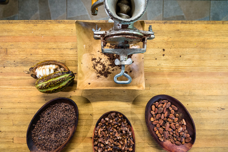 cacao beans with hand mill  in several production stadiums, Guadeloupeの写真素材