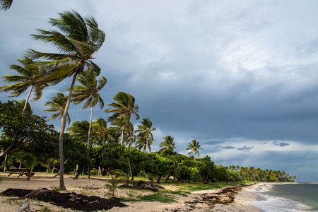 beach of Capesterre de Marie-Galante, Guadeloupeの写真素材