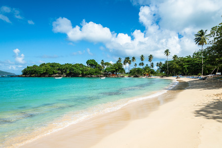 picturesque Beach of "Playa Rincon" around Las Galeras, Dominican Republicの写真素材
