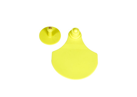 Special tools for veterinarians. Tag for marking of animals on a white background.