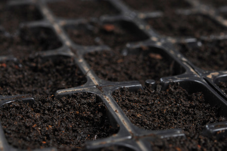 Black box with the ground for planting seedsの写真素材