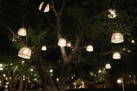 Lanterns on the tree in the park at night.