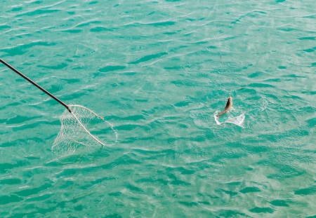 A fish hooked on a fishing rod is being pulled out of the water in Geece. の写真素材