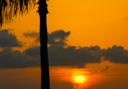 Sunset above the Key West Bight on a tangerine sky.の写真素材