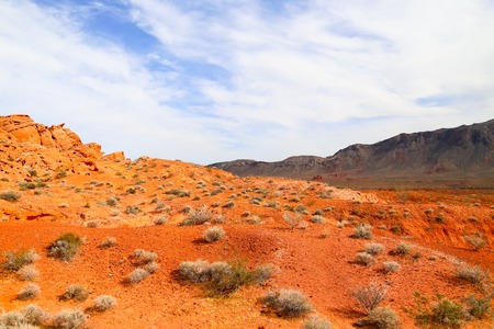 Orange Ground in the Desert in the Valley of Fire State Park, Nevada, USAの写真素材