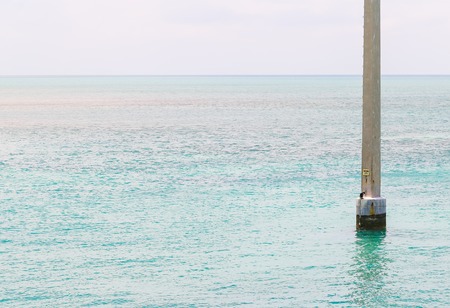 A Power Pole with a comorant sitting on it in the Florida Keys, USA.の写真素材