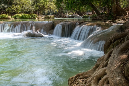 Water fall in spring season located in deep rain forest jungleの写真素材