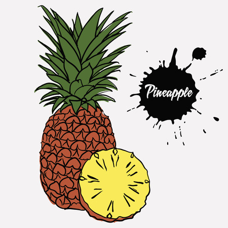 ripe juicy pineapple and sliced pineapple yellow fleshのイラスト素材