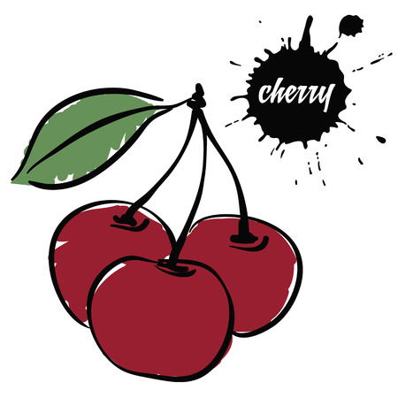 Isolated eco natural food berries red cherryのイラスト素材
