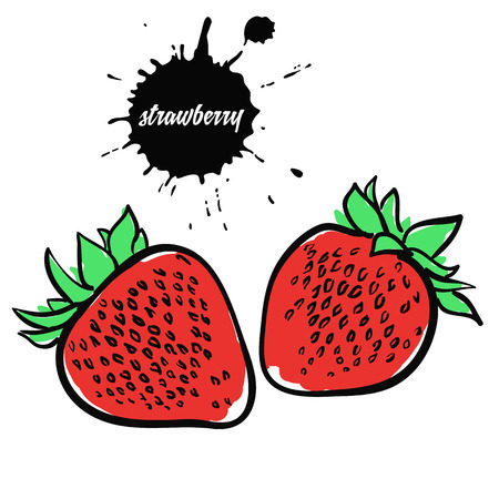 Isolated eco natural food berry red strawberryのイラスト素材
