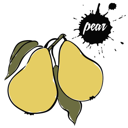 Isolated eco natural food fruit ripe pearのイラスト素材