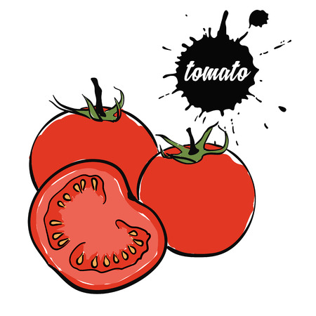 Isolated eco natural food vegetables red tomatoのイラスト素材