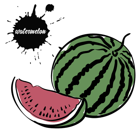 Isolated eco natural food berry juicy watermelonのイラスト素材