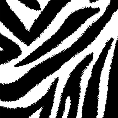A zebra texture skin grunge overlay texture abstract vector template.のイラスト素材