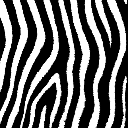 zebra texture skin Grunge overlay texture Abstract vector templateのイラスト素材