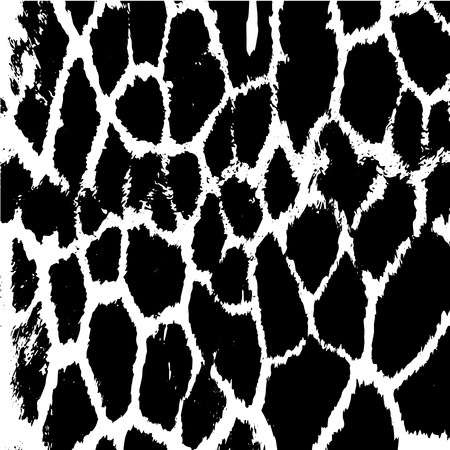 giraffe skin texture Grunge overlay texture Abstract vector templateのイラスト素材